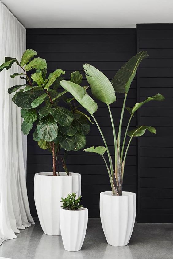 DIY Ways to improve the garden